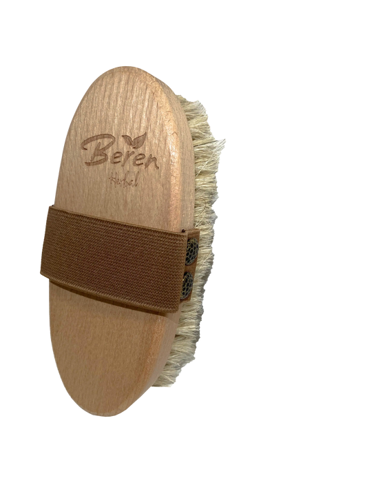 horse hair brush to remove cellulite from Beren Herbal